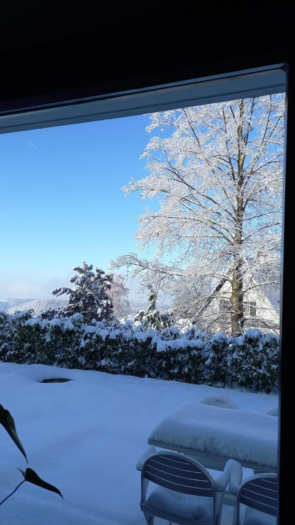 Haus Am Wald Apartment Hillscheid Luaran gambar