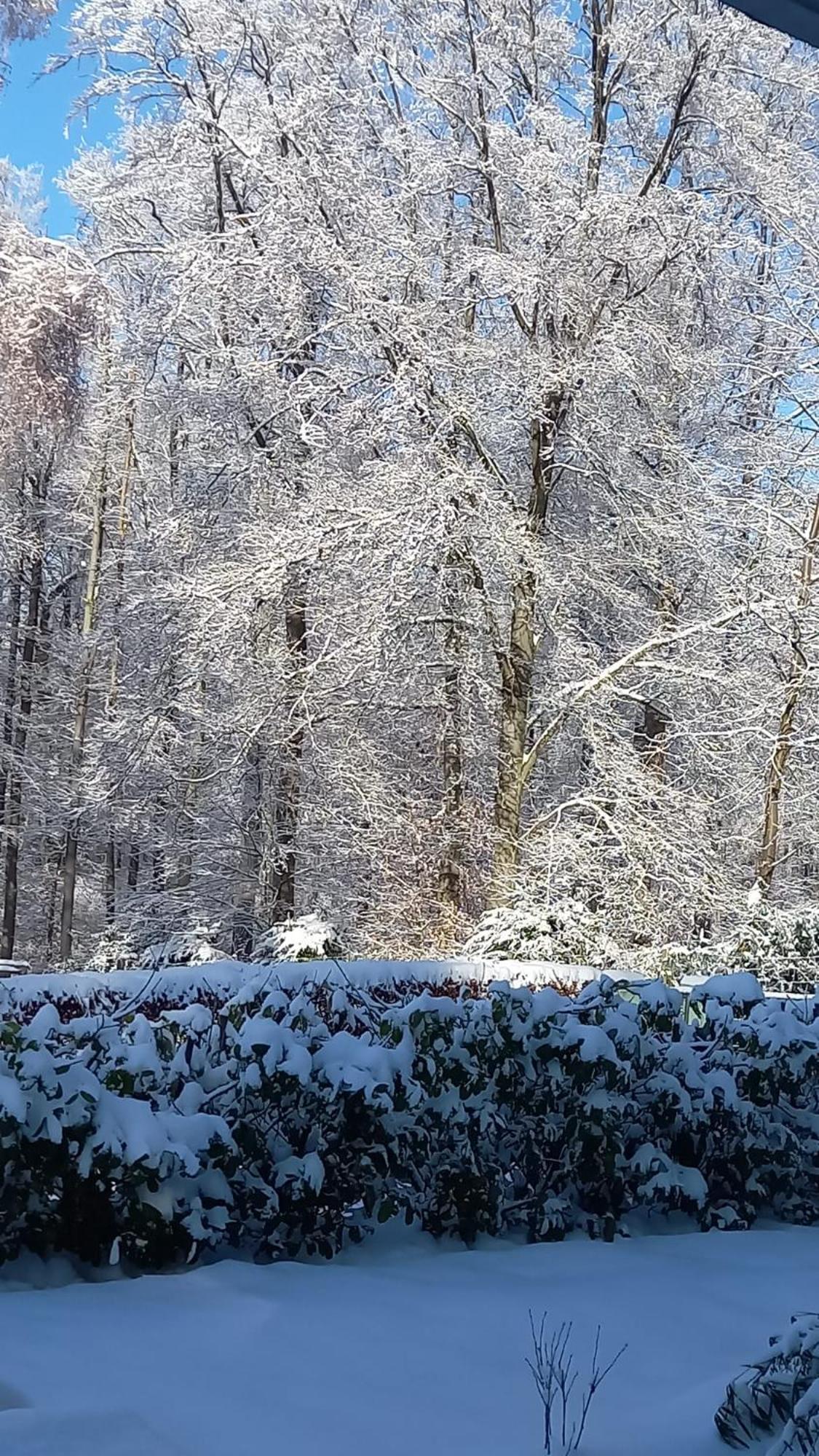 Haus Am Wald Apartment Hillscheid Luaran gambar