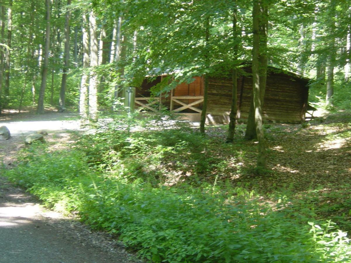 Haus Am Wald Apartment Hillscheid Luaran gambar